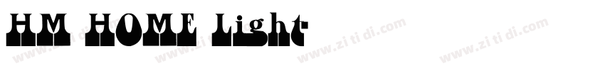 HM HOME Light字体转换
